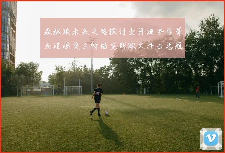 森林狼未来之路探讨麦丹换字母哥或追逐莫兰特福克斯欧文冲击总冠军